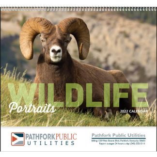 See Item Wildlife Portraits Calendar